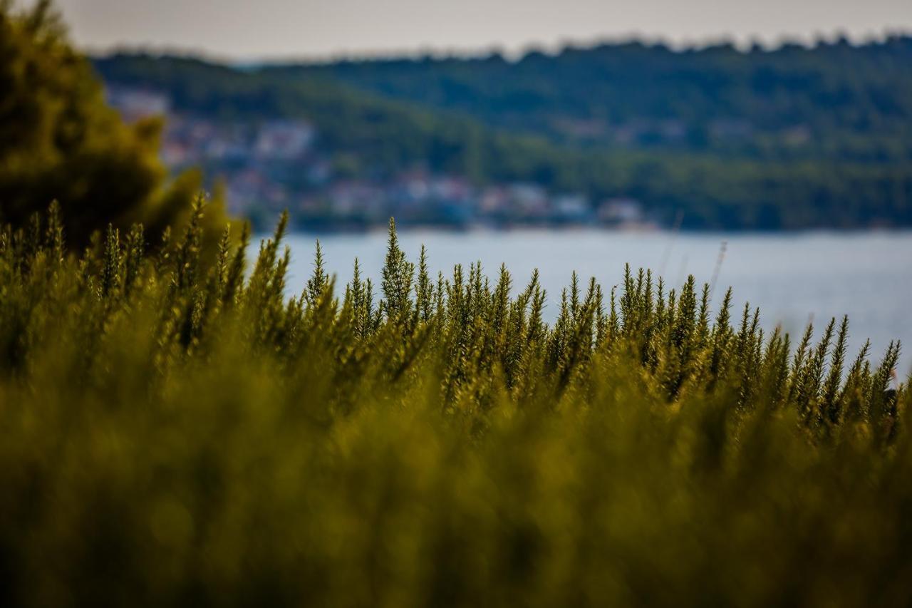 Villa Amarina Trogir Exteriér fotografie